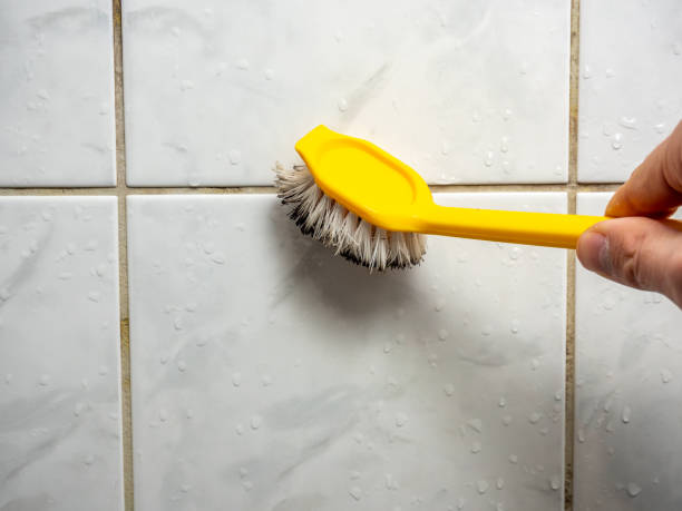 Best Black Mold Removal  in Tolono, IL