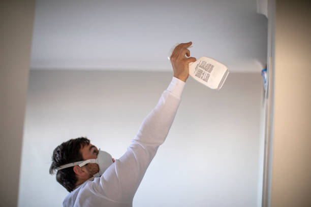 Best Toxic Mold Removal  in Tolono, IL