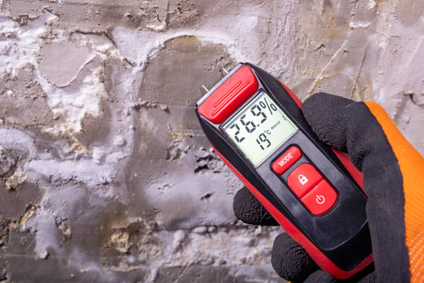 Office Mold Removal Services in Tolono, IL