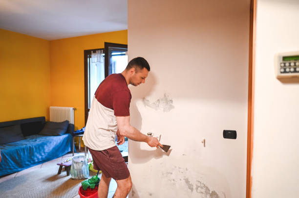 Best Office Mold Removal Services  in Tolono, IL